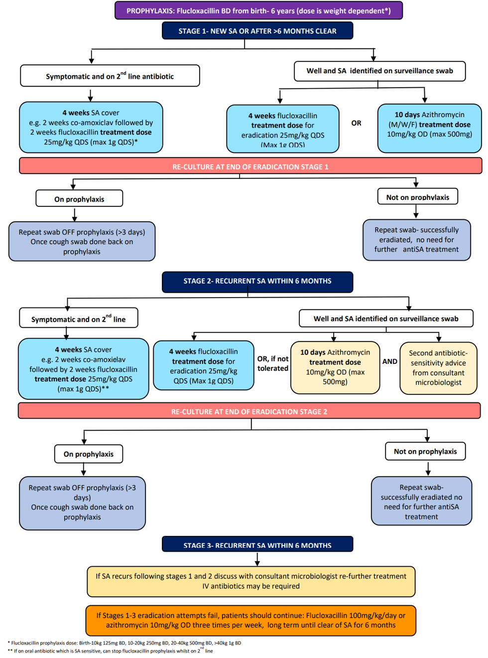 Image of the eradication of staphylococcus aureus in children with cystic fibrosis guideline flowchart