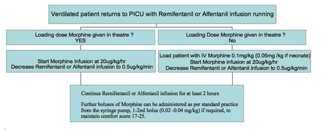 Ventilated patient returns to PICU with Remifentanill ir Alfentanil infusion running flowchart