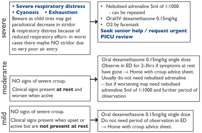 Algorithm For Management Of Child With Croup