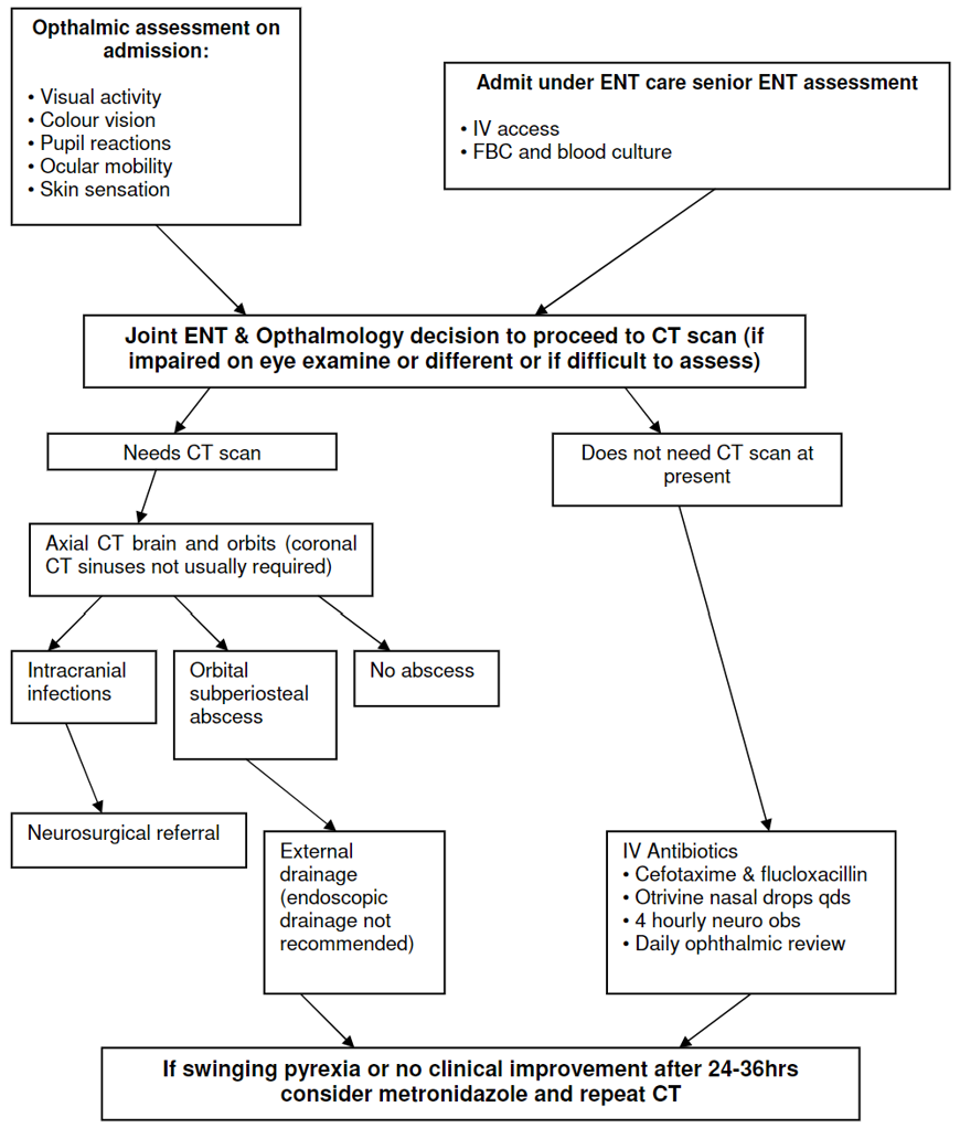 Orbital cellulitis protocol - algorithm