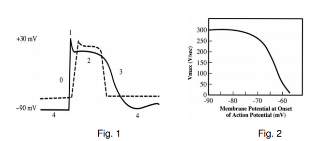 Fig. 1 and Fig. 2 graphs