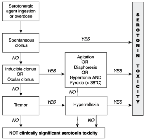 Flowchart for diagnosis of serotonin toxicity