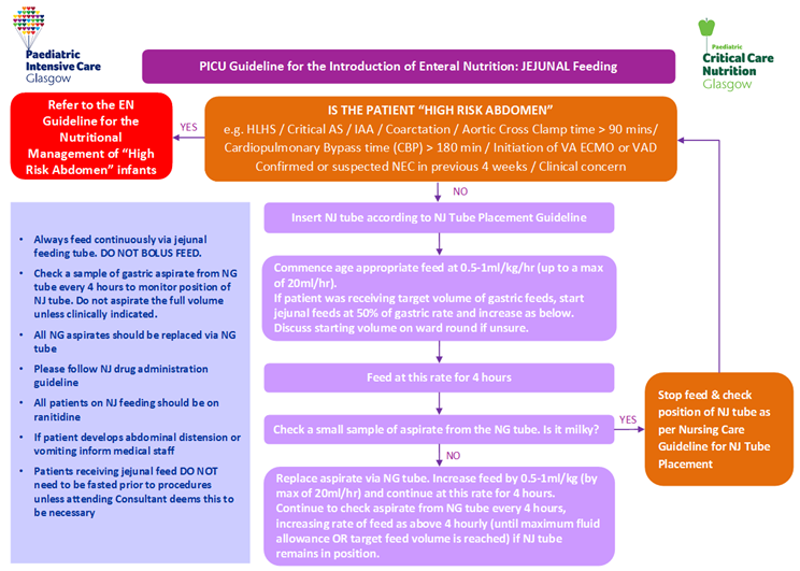 PICU guideline for the introduction of enteral nutrition - jejunal feeding