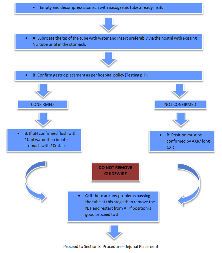 Procedure - Gastric Placement