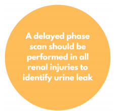 A delayed phase scan should be performed in all renal injuries to identify urine leak