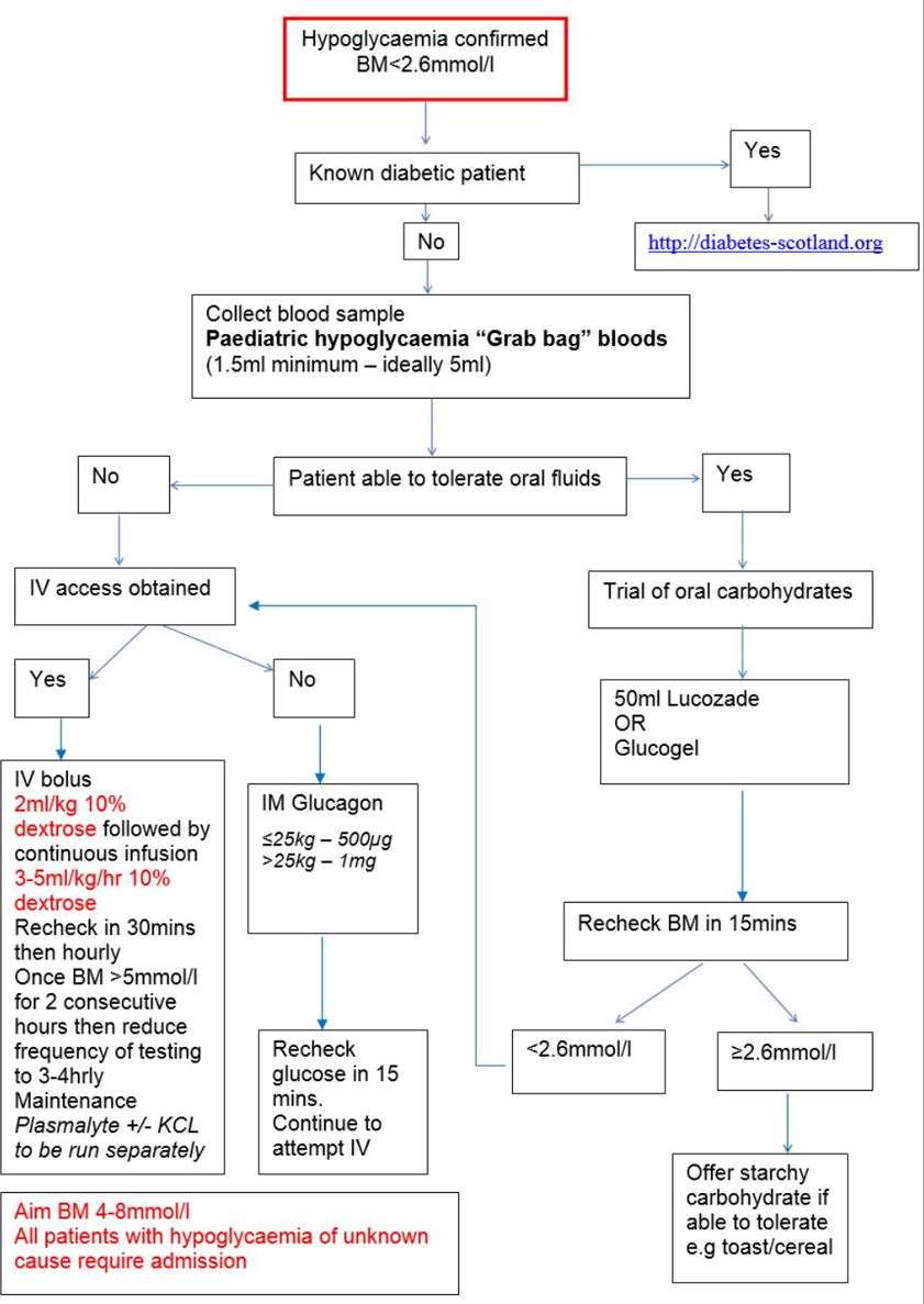 Hypoglycaemia Management Flow Chart