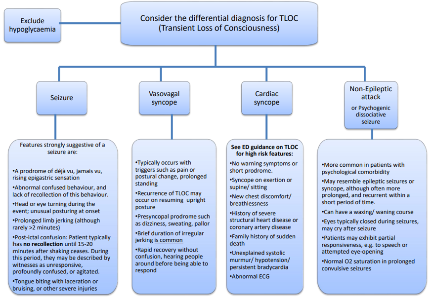 Differential diagnosis flowchart