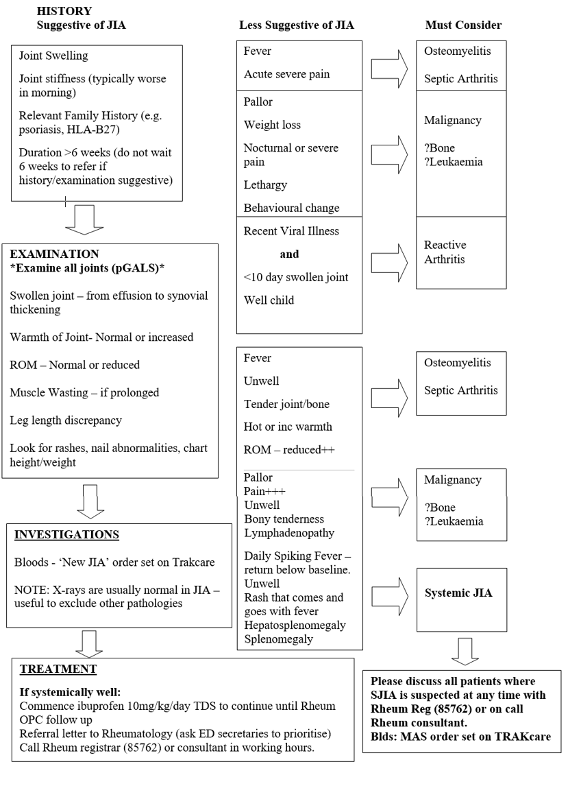 Algorithm for management of child with suspected JIA in ED