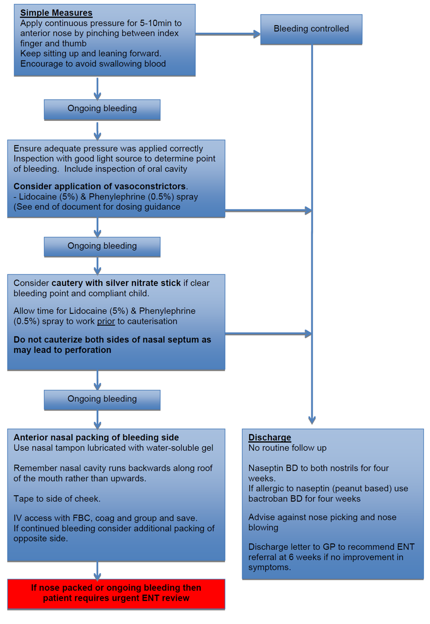 Management flow diagram