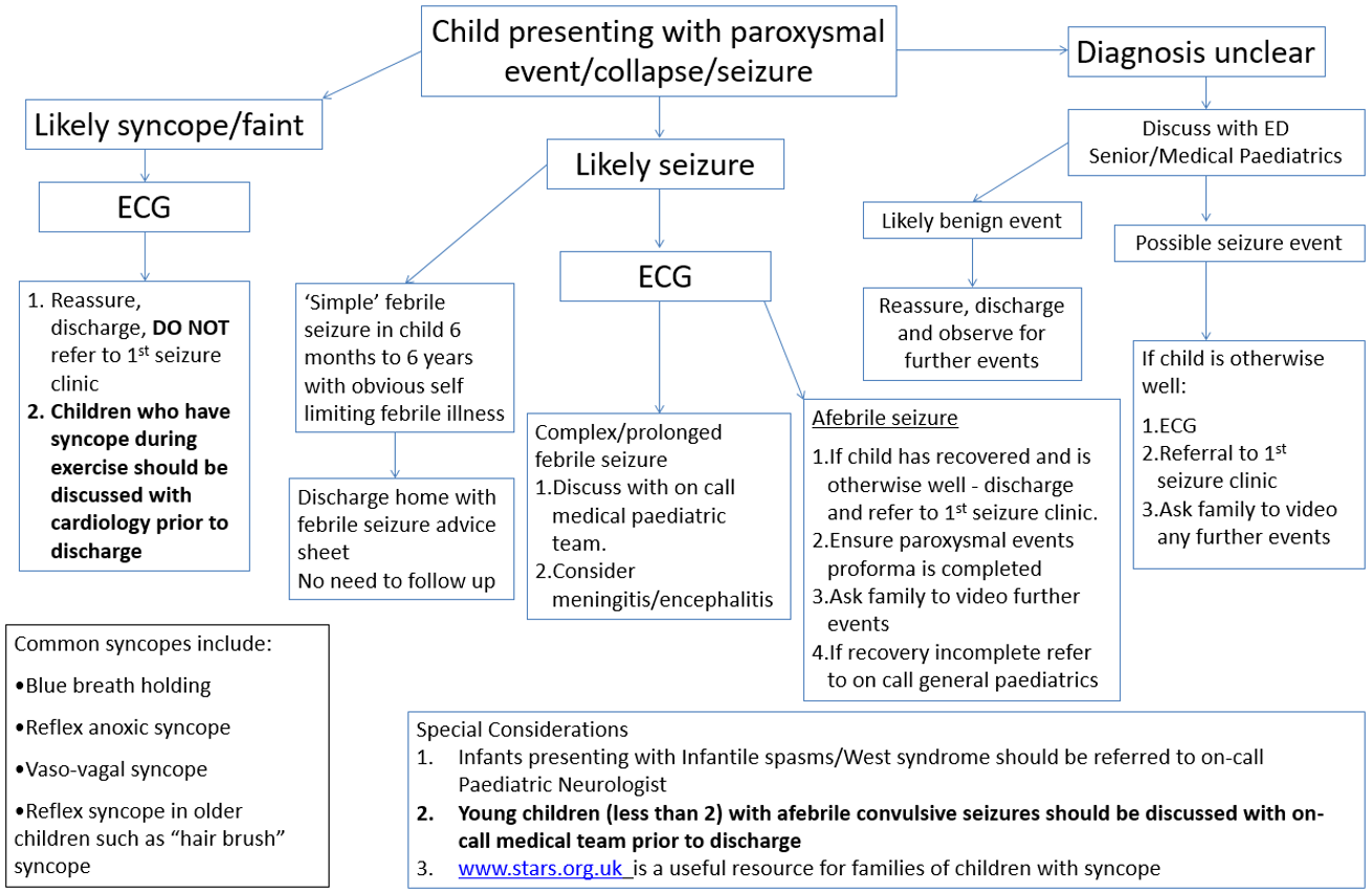 1st Seizure clinic referral guidelines flowchart