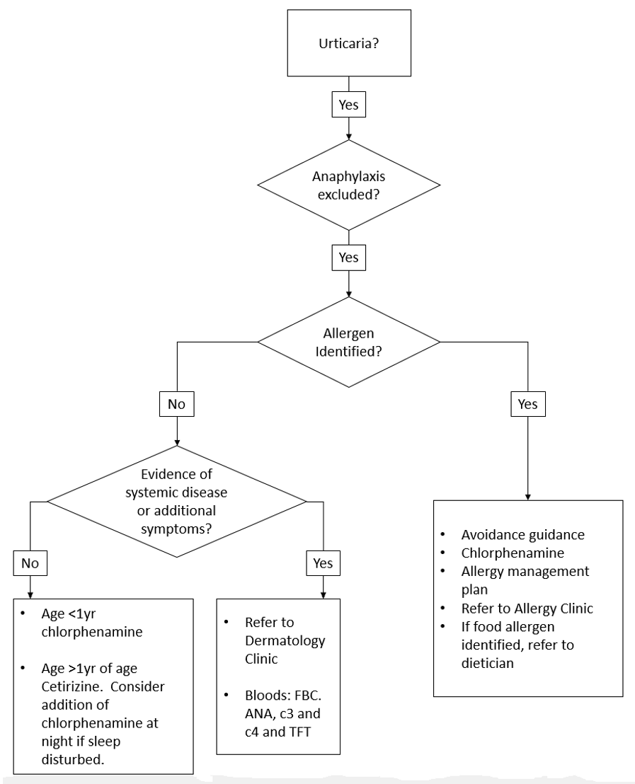 Flow chart of management of urticaria in A&E