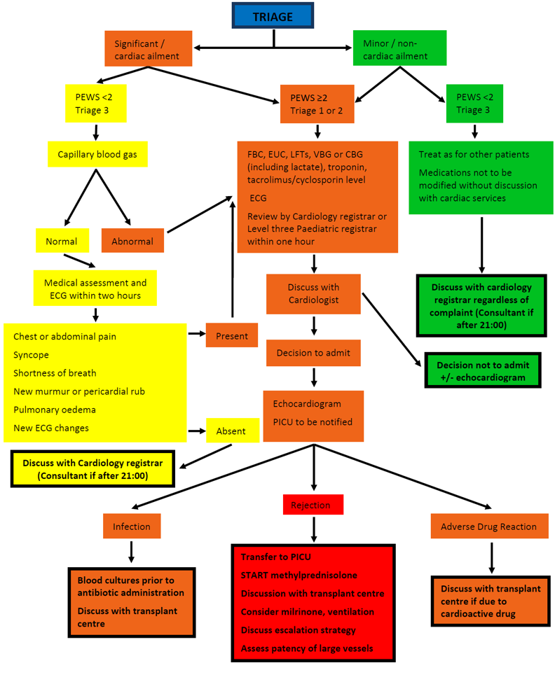 Paediatric acute care management pathway flowchart