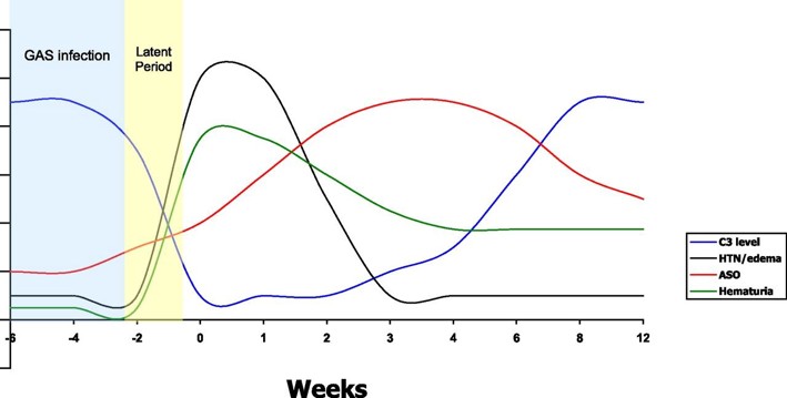 Graph showing typical pattern of C3, ASOT, hypertension and haematuria following group A strep infection