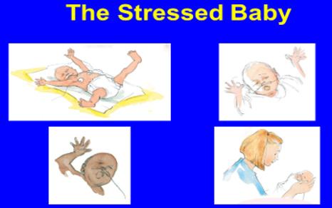 The stressed baby