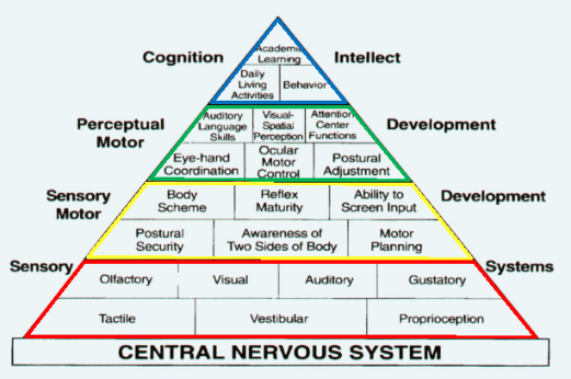 Pyramid of learning