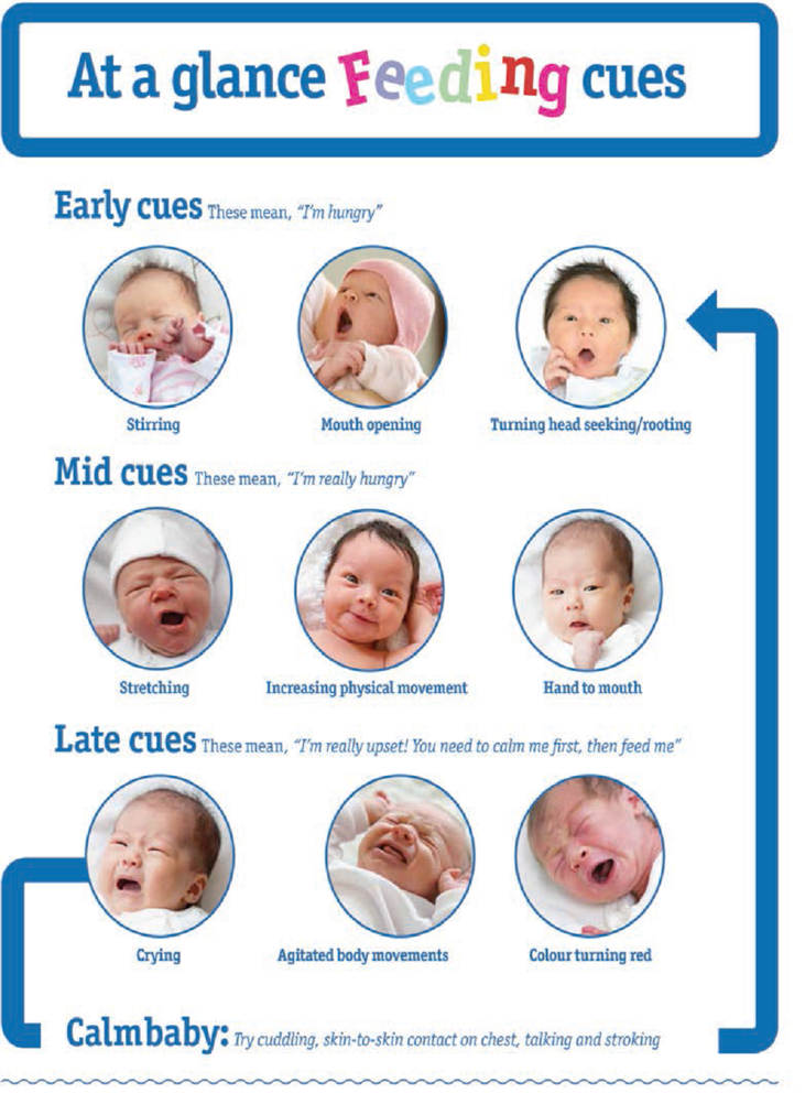 At a glance feeding cues