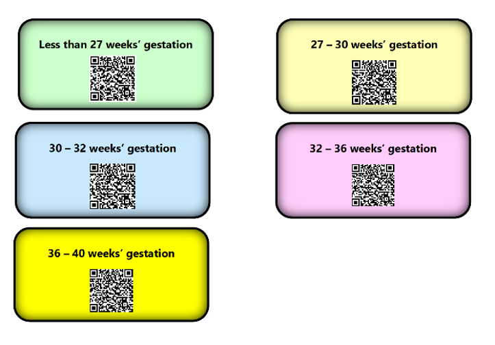 QR Codes