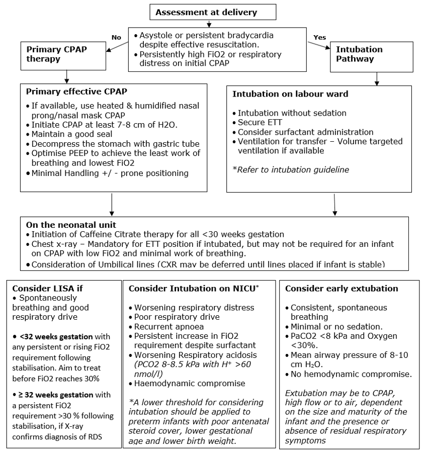 Algorithm image