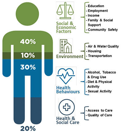 The relative importance of the social determinants of health