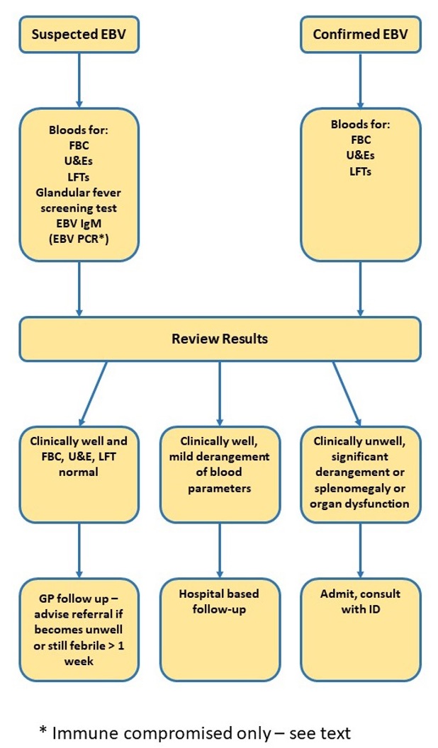 Suspected EBV and Confirmed EBV flowchart