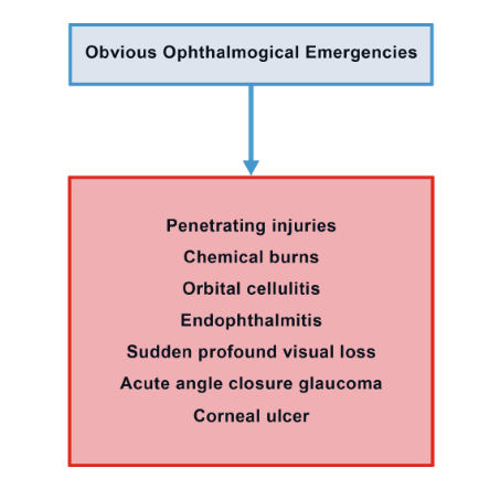 Ophthalmology Diagnosis/triage Flowcharts (Guidelines) | Right Decisions