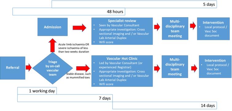 Image of chronic limb threatening pathway recommendations