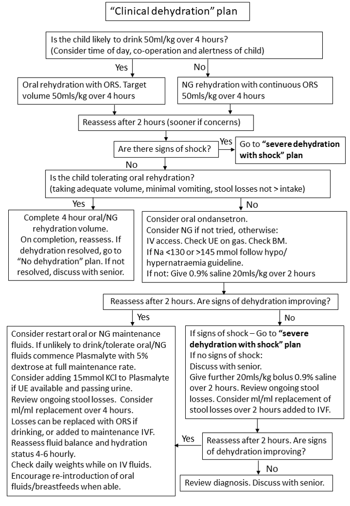 Image of clinical dehydration plan flowchart