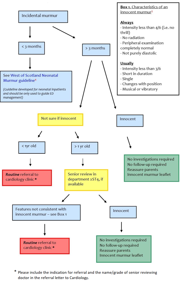 Incidental murmur guideline flowchart