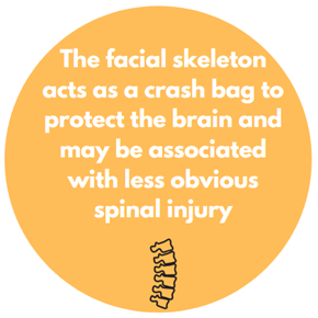 The facial skeleton acts as a crash bag to protect the brain and may be associated with less obvious spinal injury