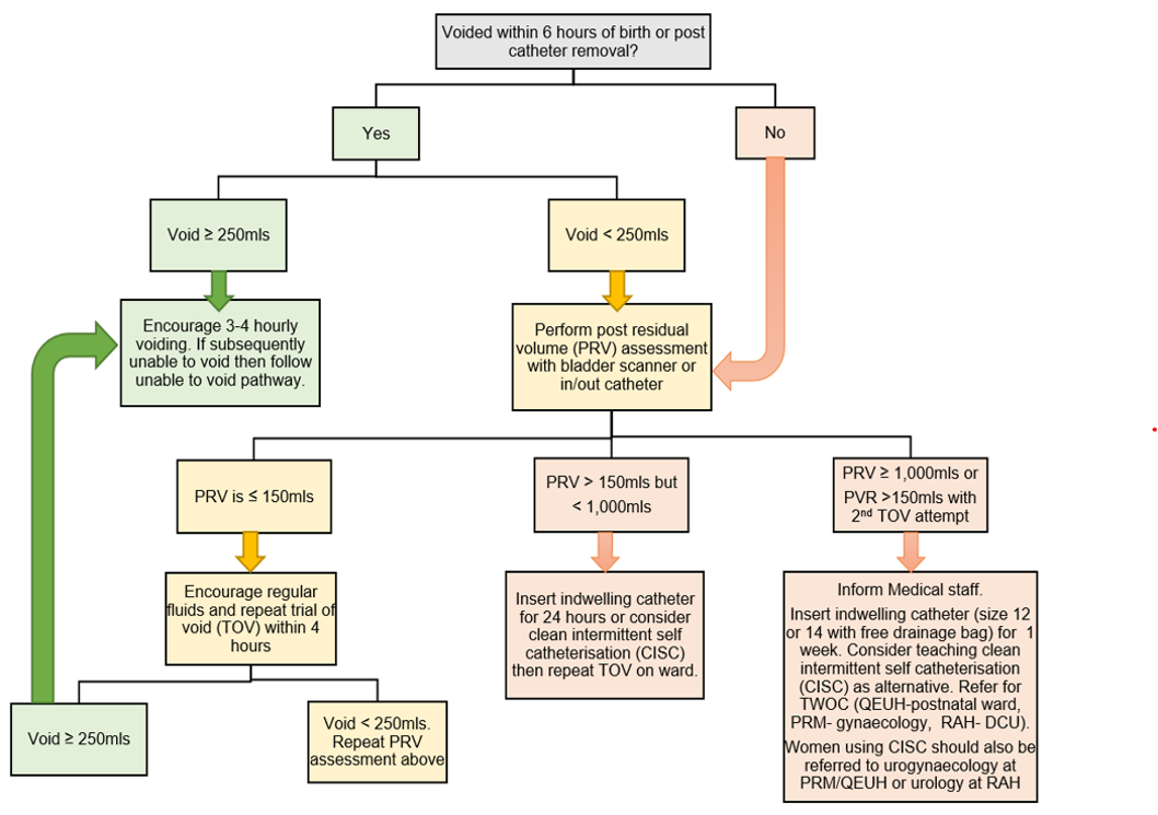 Trial of void flowchart