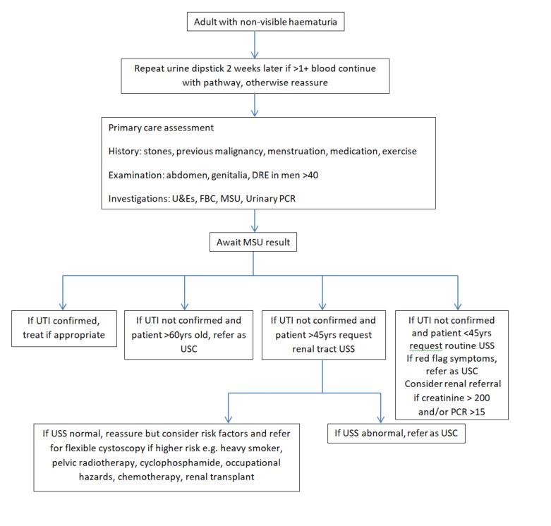 Occult or non-visible haematuria pathway and how a Occult or non-visible haematuria pathway is assessed and managed in adults.