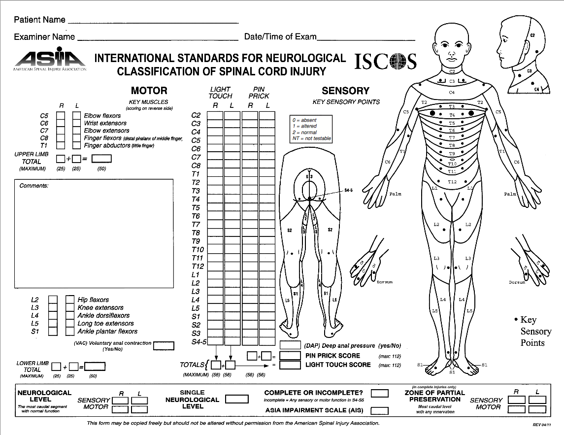 International Standards for Neurological Classification of Spinal Cord Injury