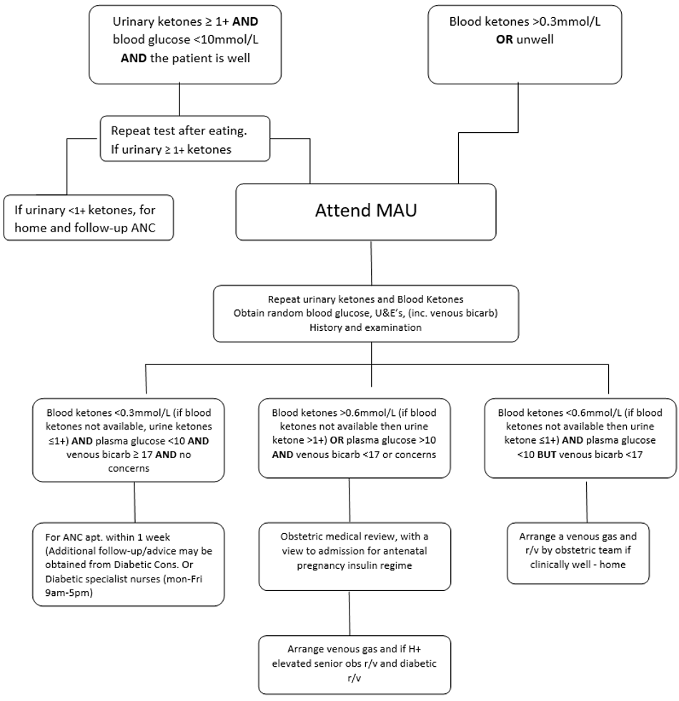 Diabetic ketone testing flowchart