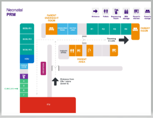 Thumbnail image of the PRM neonatal unit map