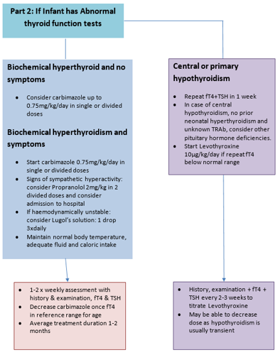 Neonatal thyrotoxicosis flowchart part 2