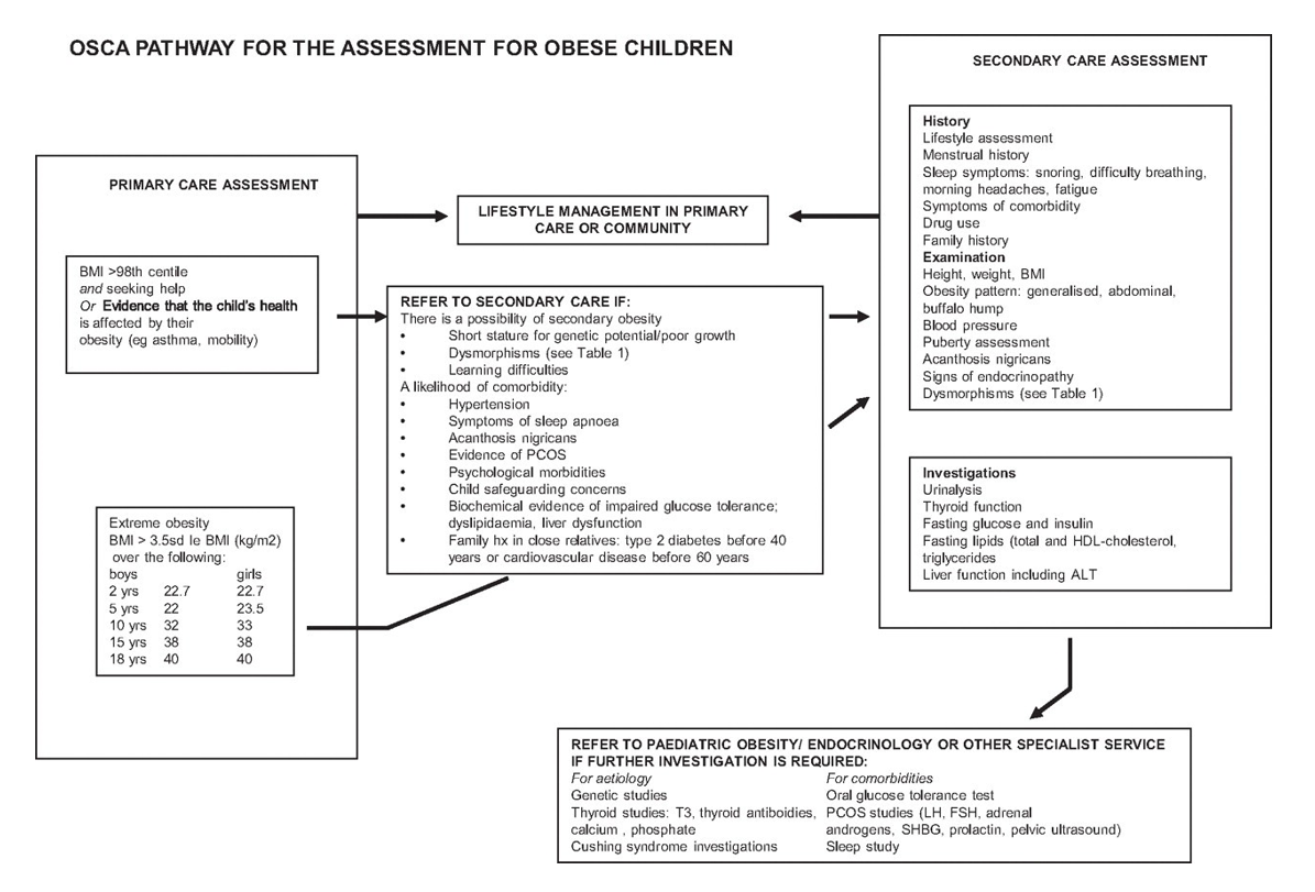 OSCA pathway for the assessment for obese children