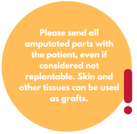 Please send all amputated parts with the patient, even if considered not replantable. Skin and other tissues can be used as grafts.
