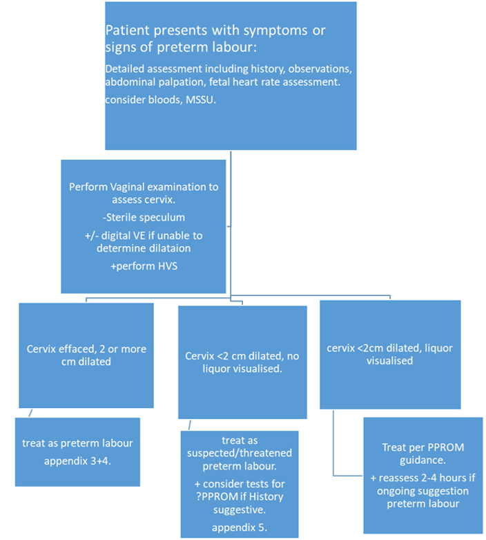 Summary of initial assessment of preterm labour flowchart