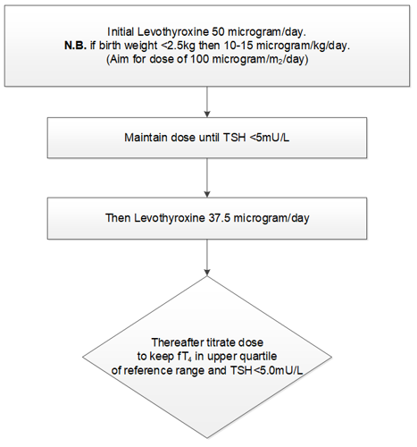 Dosage schedule for infant with elevated TSH