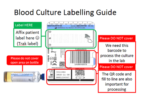 Blood culture label and instruction how to label