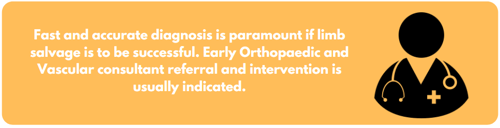 Fast and accurate diagnosis is paramount if limb salvage is to be successful. Early orthopaedic and vascular consultant referral and intervention is usually indicated.