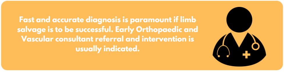 Fast and accurate diagnosis is paramount if limb salvage is to be successful. Early Orthopaedic and Vascular consultant referral and intervention is usually indicated.