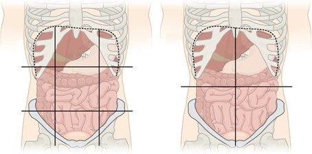 Diagram of the abdominal quadrants and regions