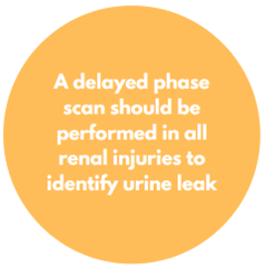 A delayed phase scan should be performed in all renal injuries to identify urine leak