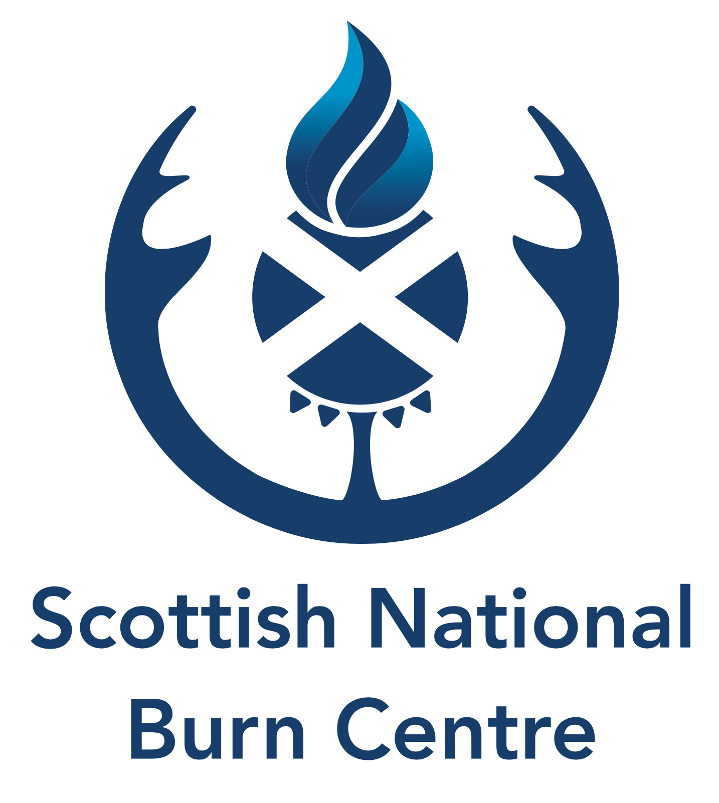 Blue thistle logo, for the Scottish National Burn Centre