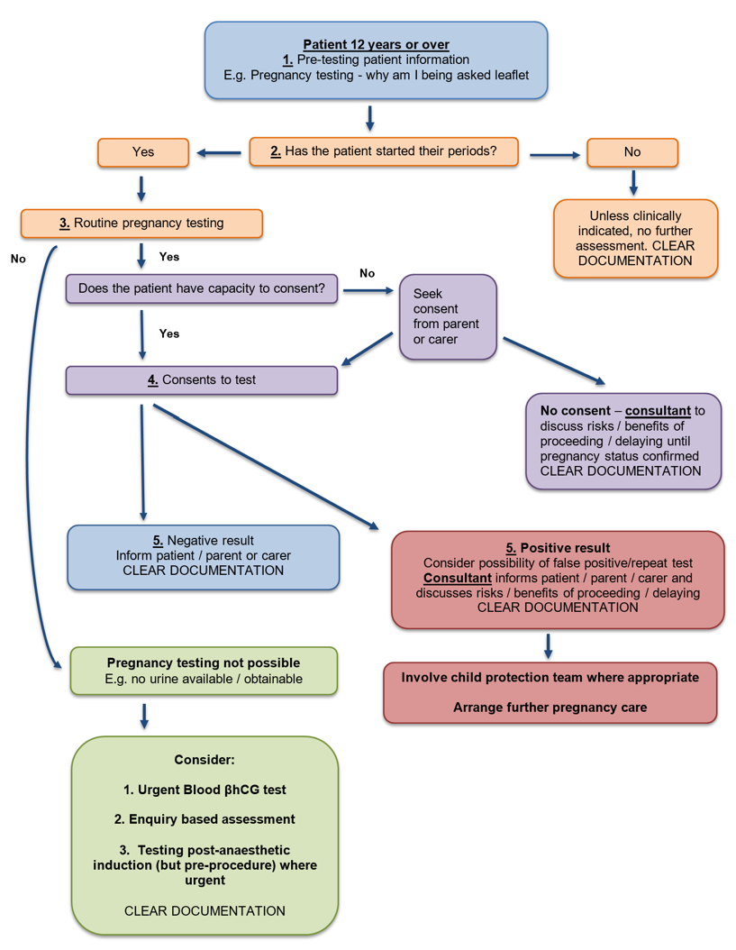 Pregnancy testing flowchart