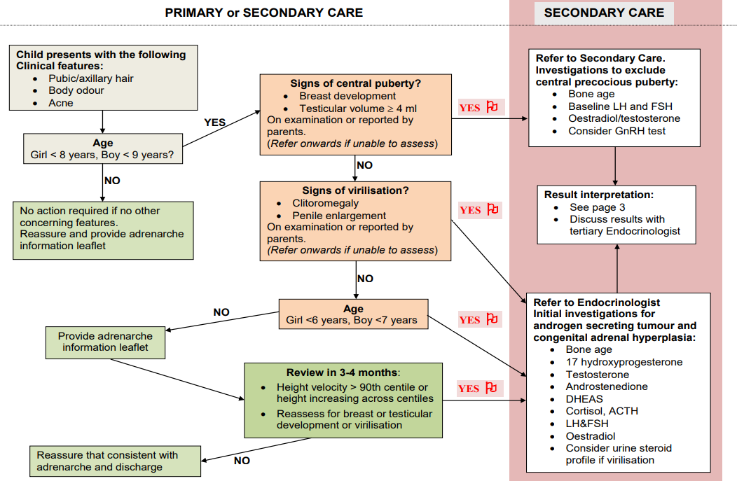 Primary and secondary care pathway